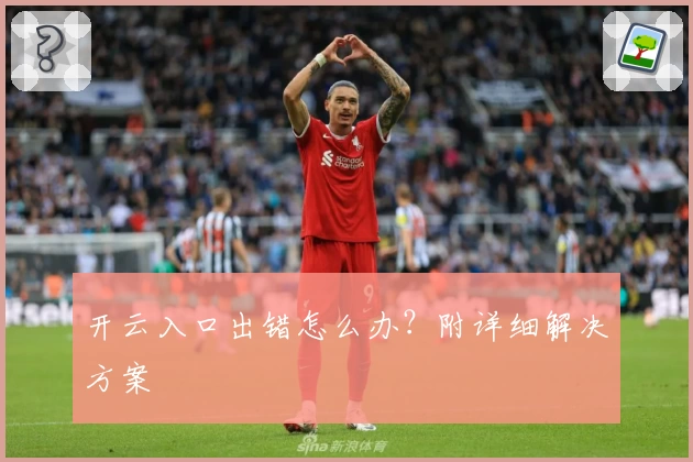 开云入口出错怎么办?附详细解决方案