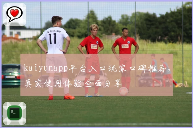 kaiyunapp平台入口玩家口碑推荐，真实使用体验全面分享